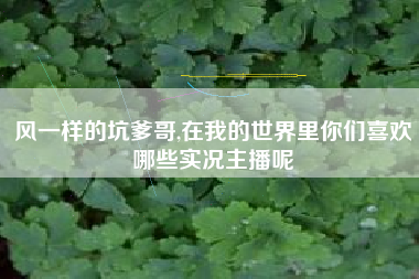 风一样的坑爹哥,在我的世界里你们喜欢哪些实况主播呢