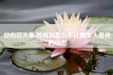 安心云人事,网易云怎么不让陌生人看我的动态