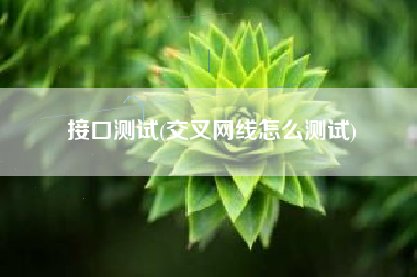 接口测试(交叉网线怎么测试)