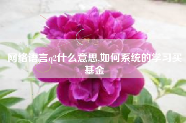 网络语言q2什么意思,如何系统的学习买基金