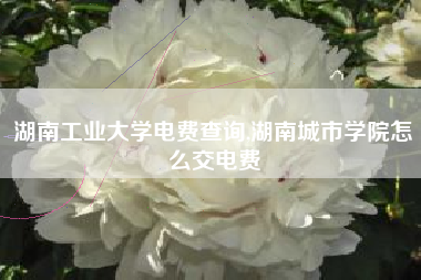 湖南工业大学电费查询,湖南城市学院怎么交电费