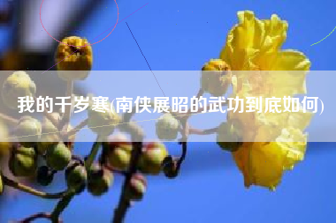 我的千岁寒(南侠展昭的武功到底如何)