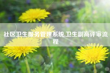 社区卫生服务管理系统,卫生副高评审流程