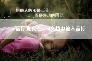 word音标,如何在word文档中输入音标