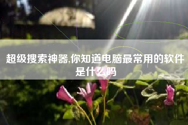 超级搜索神器,你知道电脑最常用的软件是什么吗