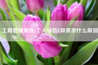 工商管理系统(个人征信E级表示什么级别)