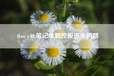 ibm e40,笔记本触控板进水问题
