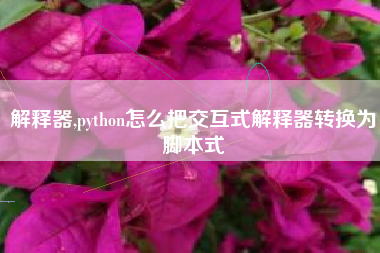 解释器,python怎么把交互式解释器转换为脚本式