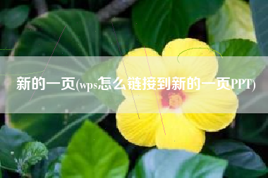 新的一页(wps怎么链接到新的一页PPT)