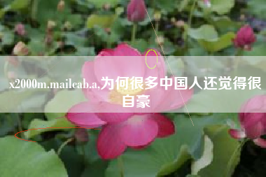 x2000m.mailcab.a,为何很多中国人还觉得很自豪
