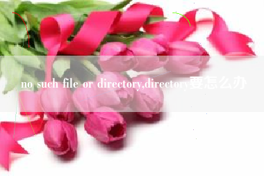 no such file or directory,directory要怎么办
