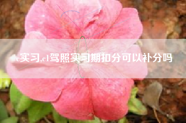 c实习,c1驾照实习期扣分可以补分吗