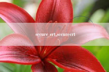 secure crt,securecrt