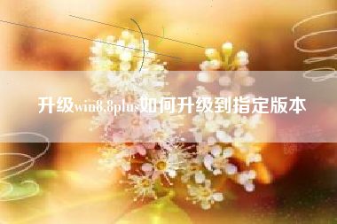 升级win8,8plus如何升级到指定版本