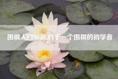 围棋入门知识,对于一个围棋的初学者