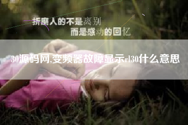 30源码网,变频器故障显示rl30什么意思