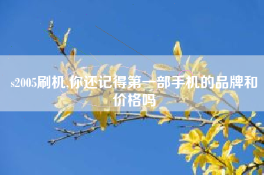 s2005刷机,你还记得第一部手机的品牌和价格吗