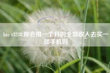 htc t3238,你会用一个月的全部收入去买一部手机吗