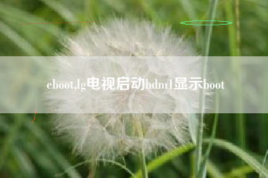 eboot,lg电视启动hdm1显示boot