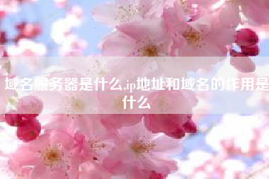 域名服务器是什么,ip地址和域名的作用是什么