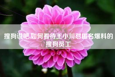 搜狗说吧,如何看待王小川怼匿名爆料的搜狗员工
