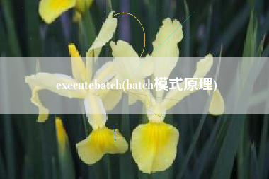 executebatch(batch模式原理)