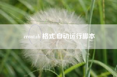 crontab 格式,自动运行脚本