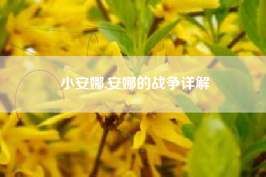 小安娜,安娜的战争详解