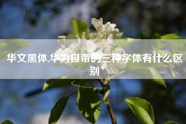 华文黑体,华为自带的三种字体有什么区别