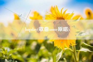 hopday(歌曲some原唱)