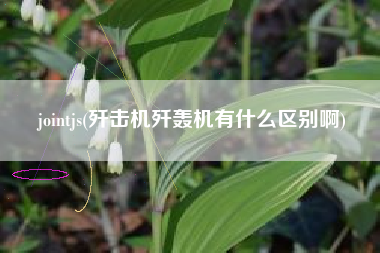 jointjs(歼击机歼轰机有什么区别啊)