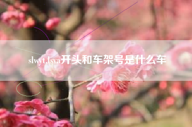 slwyt,lsva开头和车架号是什么车
