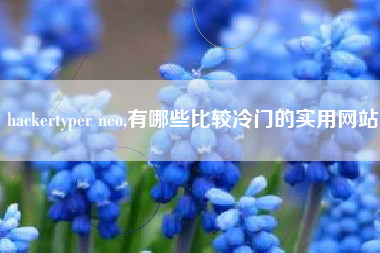 hackertyper neo,有哪些比较冷门的实用网站