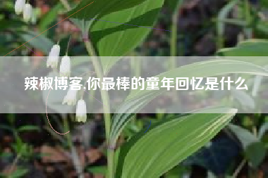 辣椒博客,你最棒的童年回忆是什么