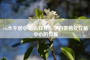 css水平居中,怎么样让div中的表格处在最中心的位置