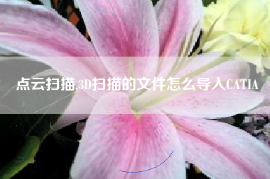点云扫描,3D扫描的文件怎么导入CATIA