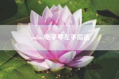 sodm,电子琴左手指法