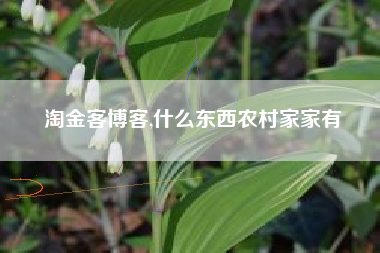 淘金客博客,什么东西农村家家有