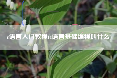 c语言入门教程(c语言基础编程叫什么)