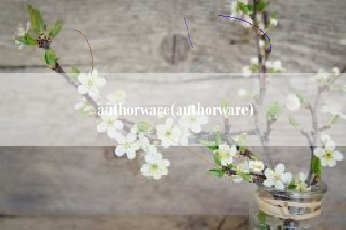 authorware(authorware)