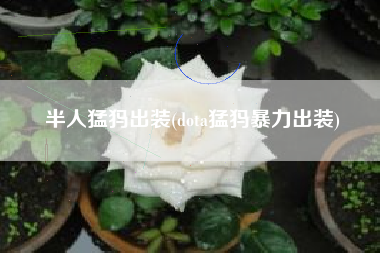 半人猛犸出装(dota猛犸暴力出装)