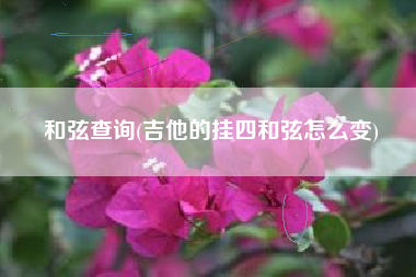 和弦查询(吉他的挂四和弦怎么变)
