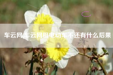 车云网,车云网租电动车不还有什么后果