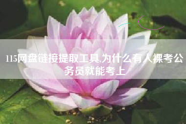 115网盘链接提取工具,为什么有人裸考公务员就能考上