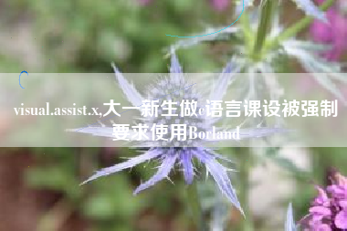 visual.assist.x,大一新生做c语言课设被强制要求使用Borland