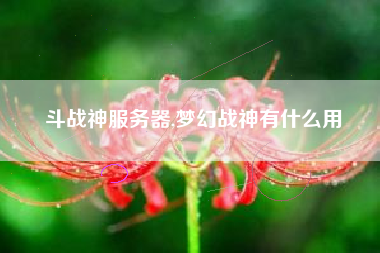 斗战神服务器,梦幻战神有什么用