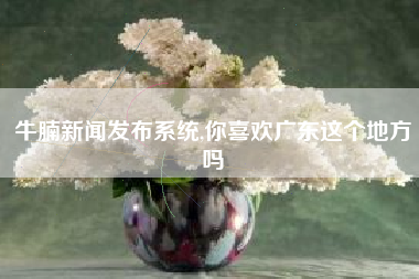 牛腩新闻发布系统,你喜欢广东这个地方吗