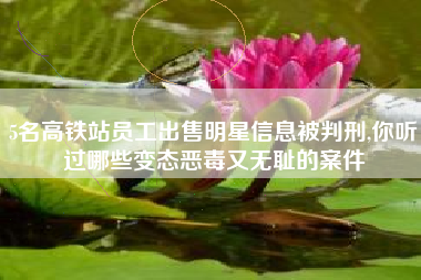 5名高铁站员工出售明星信息被判刑,你听过哪些变态恶毒又无耻的案件