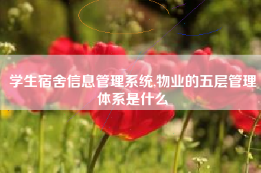 学生宿舍信息管理系统,物业的五层管理体系是什么
