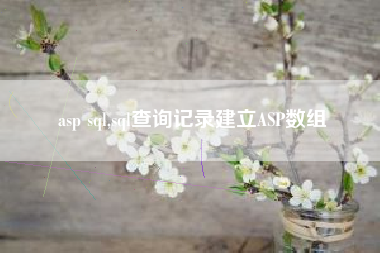 asp sql,sql查询记录建立ASP数组